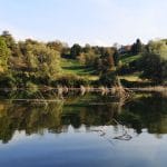 Karlče, Kostanjevica na Krki