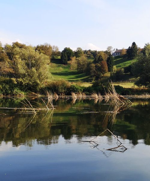 Enodnevni SUP izlet po Krki – Kostanjevica, Karlče in še en biser