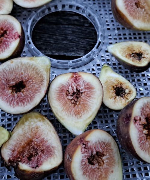 Če boste sušili domače fige, jih morate sušiti pri pravi temperaturi