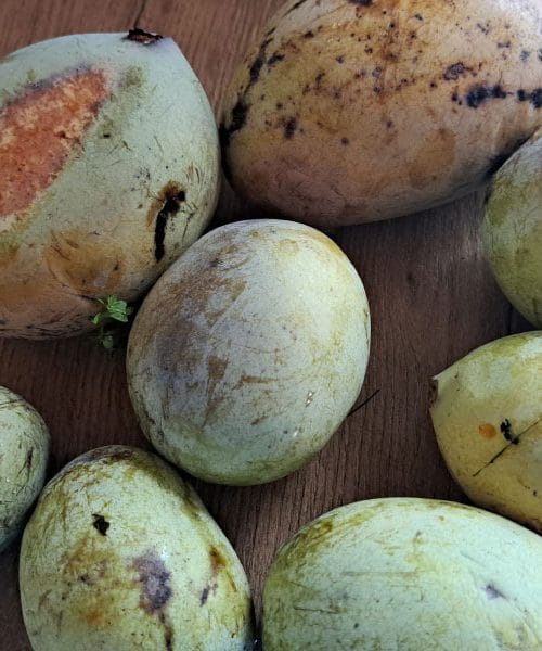 Pet idej, kako uporabiti višek zrelih asimin v kuhinji