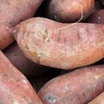 Batat, sladek krompir