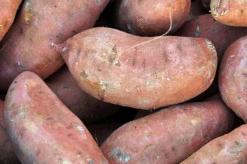 Rabarbara, sladki krompir, paradižnik in bučke: tako jih shranite, da bodo ostali dlje uporabni