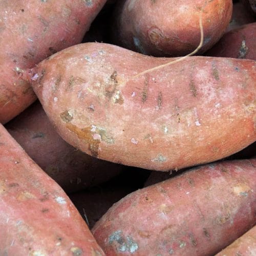 Rabarbara, sladki krompir, paradižnik in bučke: tako jih shranite, da bodo ostali dlje uporabni