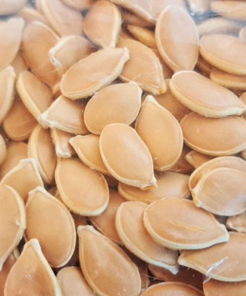 Bučna semena skrivajo majhno moč za veliko zdravja