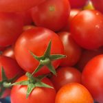 Češnjevi paradižniki