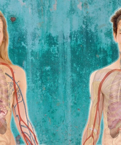 Človeško telo in njegove neverjetne značilnosti