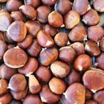 Debeli kostanj, maroni