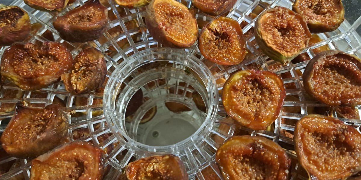 Sušenje fig