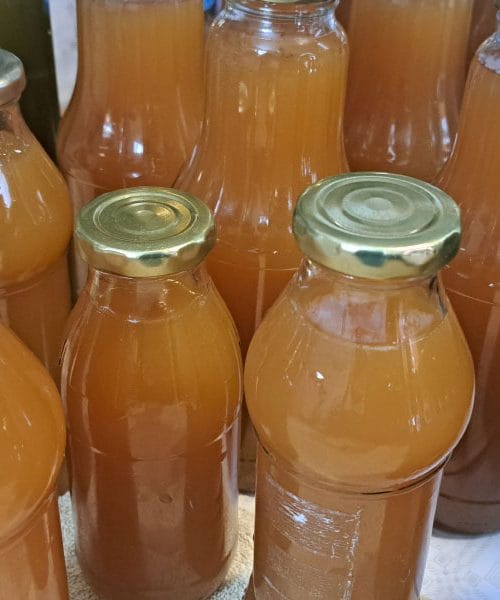 Če boste delali jabolčni sok, morate biti pozorni na te tri stvari