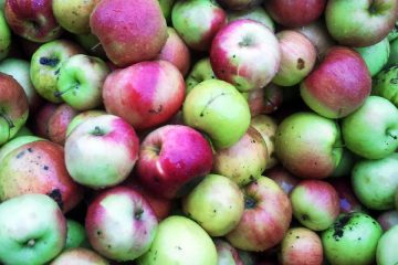 Naravni triki, ki jih pozna le narava: majhne spremembe za veliko zdravja