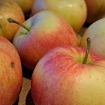 Jabolka za kompot