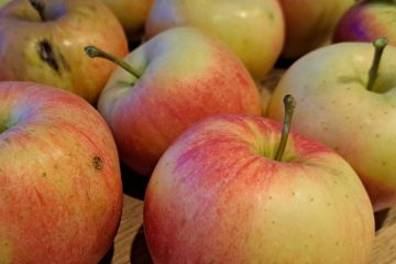 To je sadje, ki ga zdravniki priporočajo po petdesetem