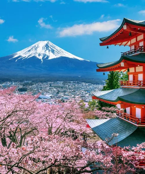 “Japonski učinek” – nov trend na spletu. In zakaj isti prizor izgleda lepši?