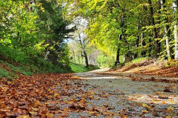 Najlepši slovenski pregovori o jeseni – oktober