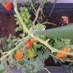 Jesen na visoki gredi