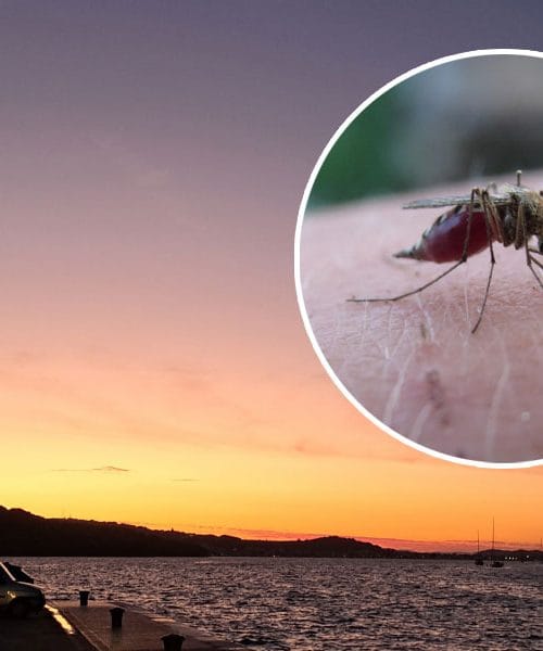 Brez tega pripomočka ni pravega jesenskega uživanja na morju