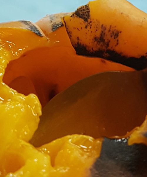 Kaki – jesenski dragulj, ki krepi telo in duha