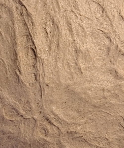 Kako pravilno zložiti testo za kruh, preden gre v baneton?