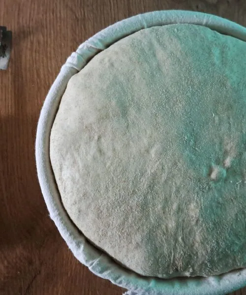 Testo po 10 urah vzhajanja ni več isto: spremeni se okus, struktura in tudi občutek po jedi