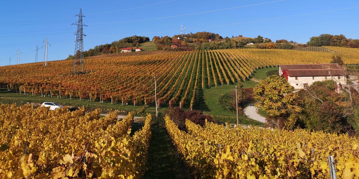 Kam na izlet, vinske poti