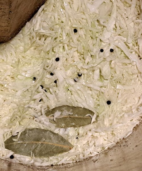 Zakaj pri kisanju zelja v posodo dodajamo sol, poper in lovorjeve liste