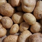 Krompir v kleti je začel kaliti