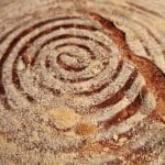 Peka kruha, aktivne droži