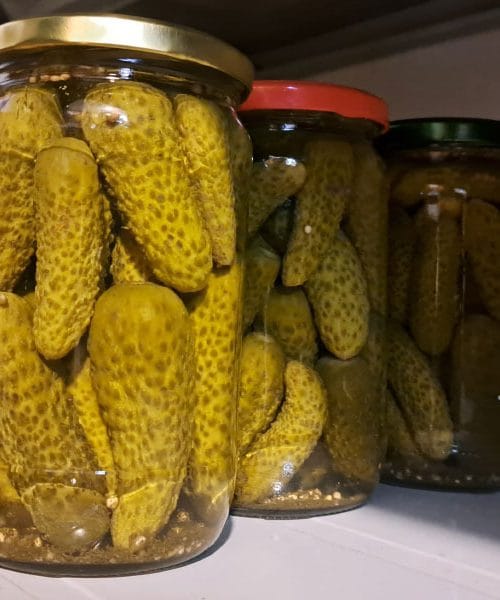 Če boste septembra vlagali kumarice, preberite teh 5 nasvetov