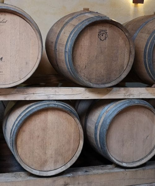 Leseni sodi kot varuhi okusa in tradicije