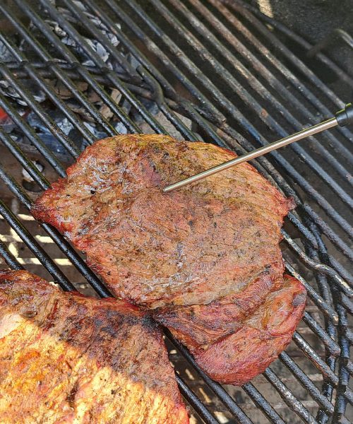 Brez tega pripomočka ni pravega pečenja na žaru. Pomembna je namreč temperatura mesa