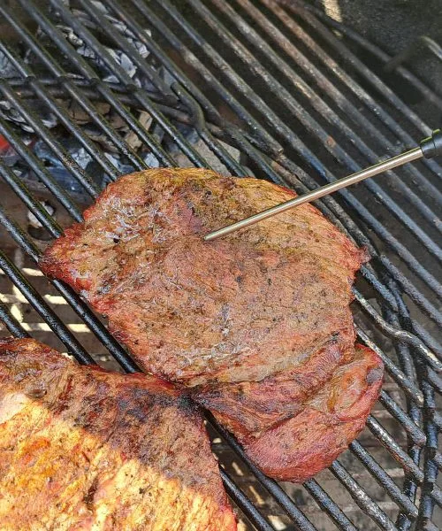 Brez tega pripomočka ni pravega pečenja na žaru. Pomembna je namreč temperatura mesa