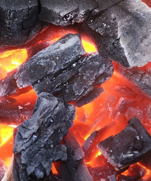 Kakšno oglje je najboljše za žar? To priporočajo strokovnjaki