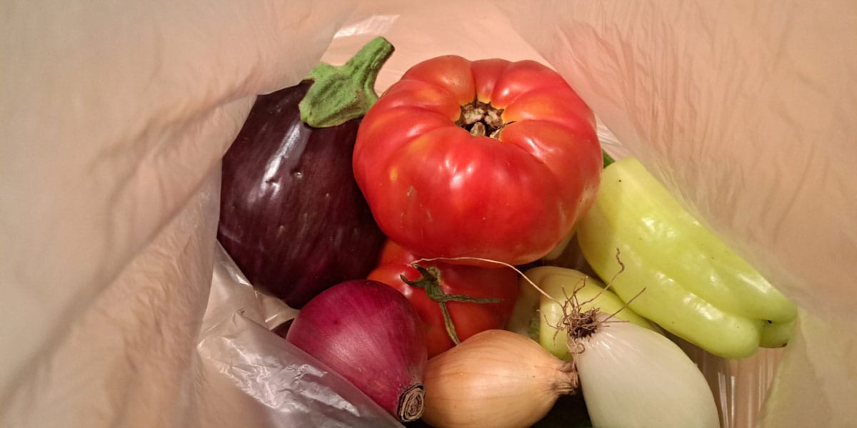 Jajčevec, paradižnik, čebula, paprika