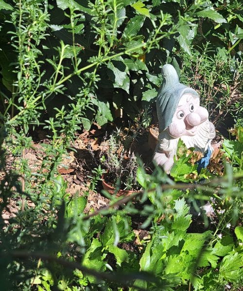 Kaj razkrivajo palčki in skulpture na vrtovih? Nekaj za dobro voljo, veliko pa za vraževerje