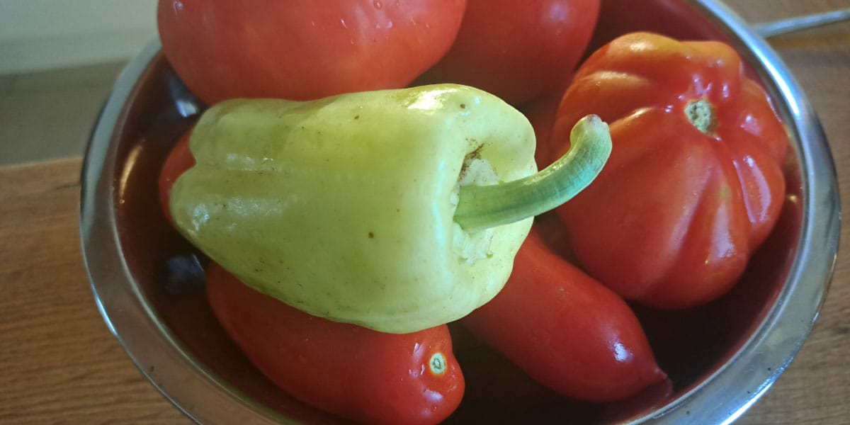 Paprika in paradižnik