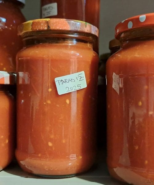 Domača paradižnikova mezga in skrivnost, kako ujeti okus poletja v kozarec