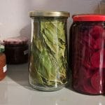 Posušeni lovorjevi listi