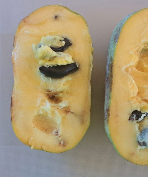 Marmelada iz asimine – tropski okus, ki ga lahko pripravite doma