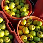 Najboljša jabolka za kis