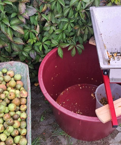 Pred mletjem jabolk za kis je dobro poznati te tri stvari