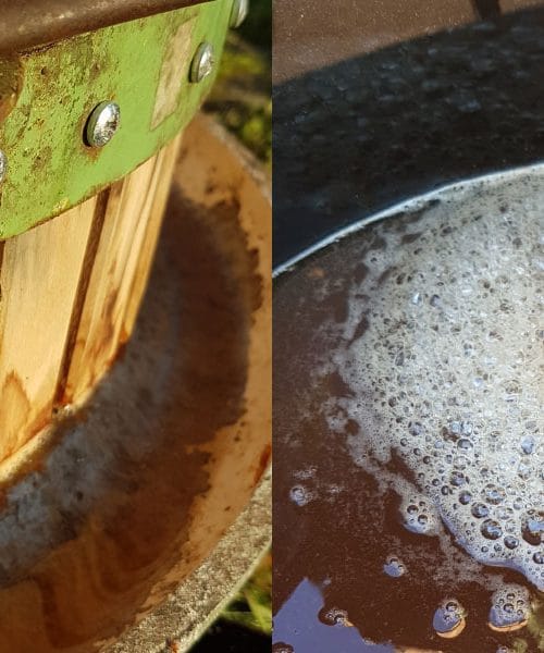 To darilo narave v sodobnem domu dela čudeže – kis