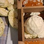 Ribanje zelja za zimo