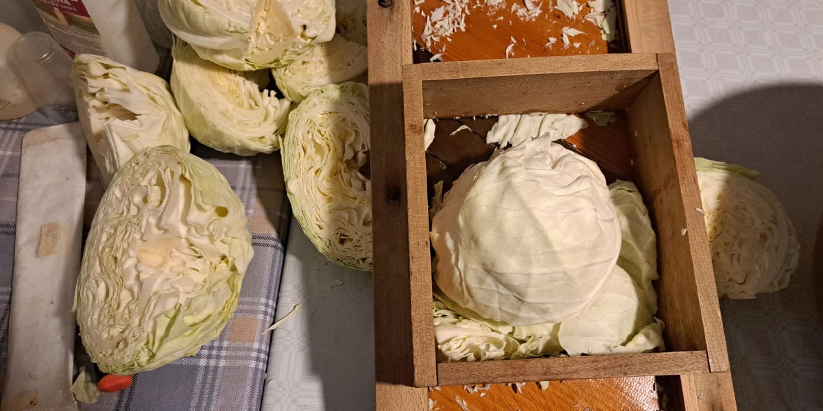 Ribanje zelja za zimo