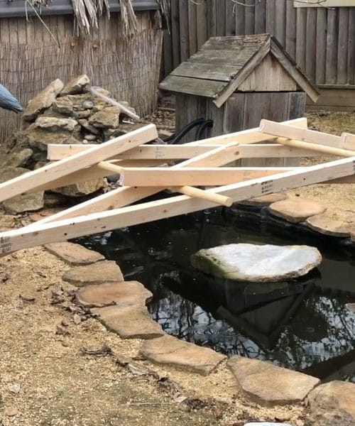 Najboljši izumi človeštva: Samonosilni most, ki ga je izumil Leonardo da Vinci