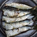 Sardine