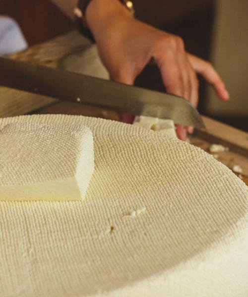 Največja napaka pri shranjevanju sira doma: zakaj plastika ni prava izbira?