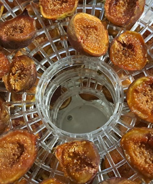 Tako preprosto pripravite energijske ploščice iz suhih fig in orehov