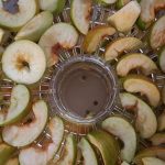 Sušenje jabolk v sušilniku