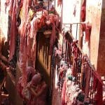 Tomatina, festival paradižnikov