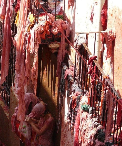 Paradižnik – od filmske zvezde do kralja festivalov in TikToka